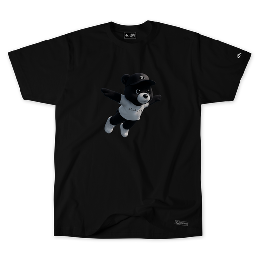 EMBRACE THE SKY WITH CONNIE THE BEAR